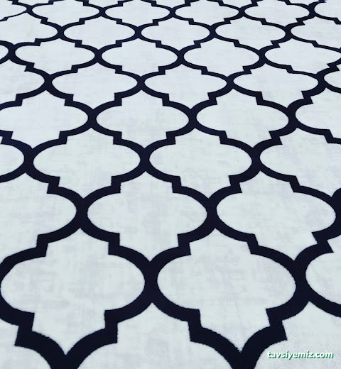 Iğdır Doğuş Halı Yıkama Fabrikası