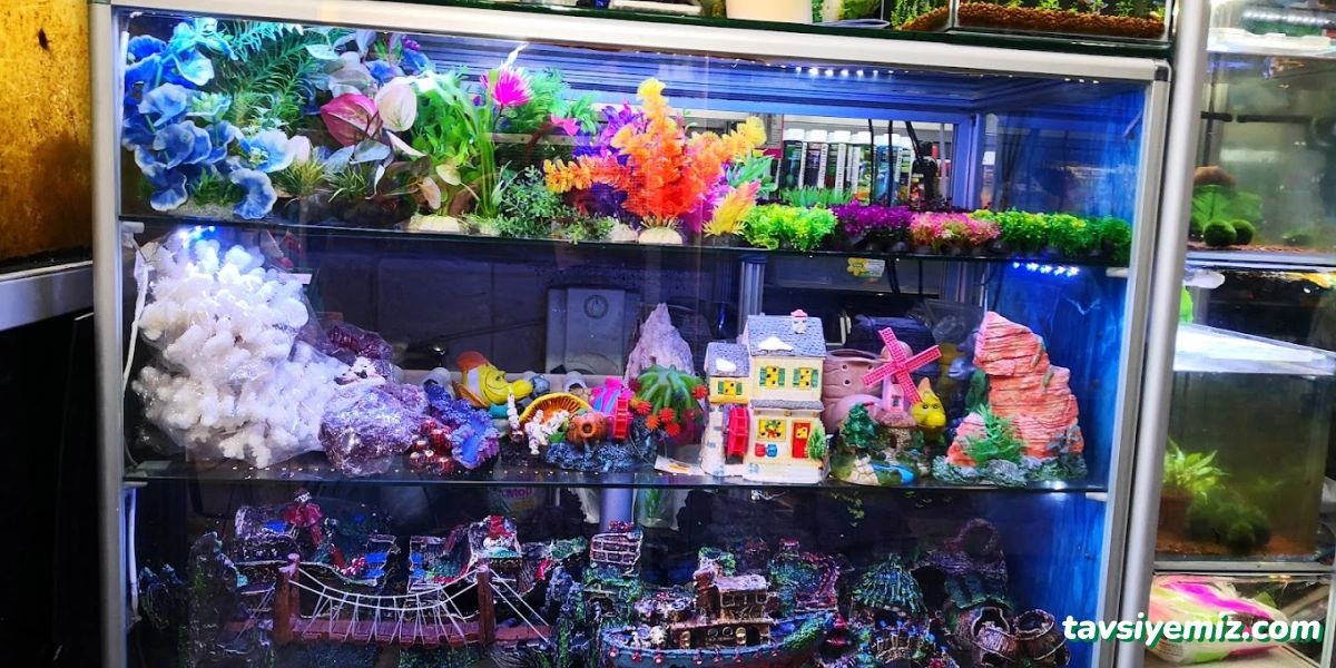 Ada Akvaryum Pet Shop Ve Oudoor