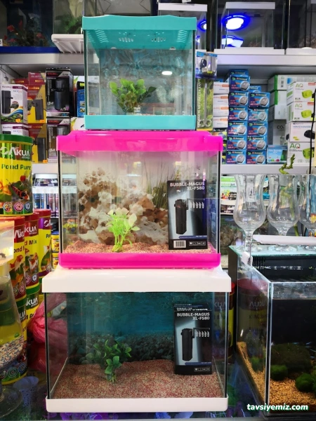 Ada Akvaryum Pet Shop Ve Oudoor