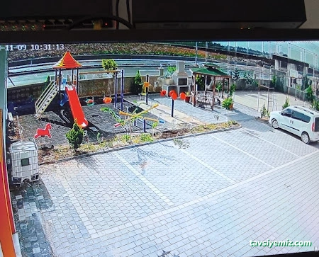 Adana Barış Güvenlik Kamera Sistemleri Teknik Bakım Onarım Servisi