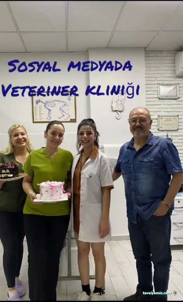 Adana Denizpet Veteriner Kliniği/Yeşilyurt/Baraj Yolu