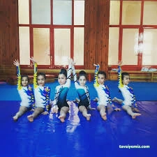 Adana Elit Cimnastik Spor Kulubü