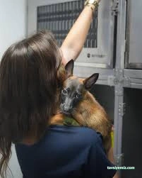 Adana Terapi Hayvan Hastanesi