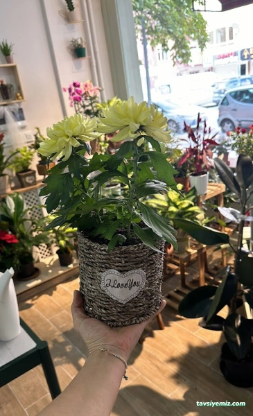 Adelia Boutique Çankırı Kadın Giyim Mağazası