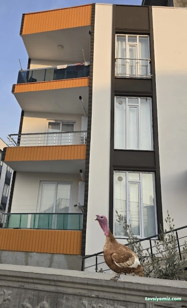 Adıyaman Çevik Yapı Ve Dekorasyon