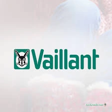 Adıyaman Demirdöküm & Vaillant Servisi