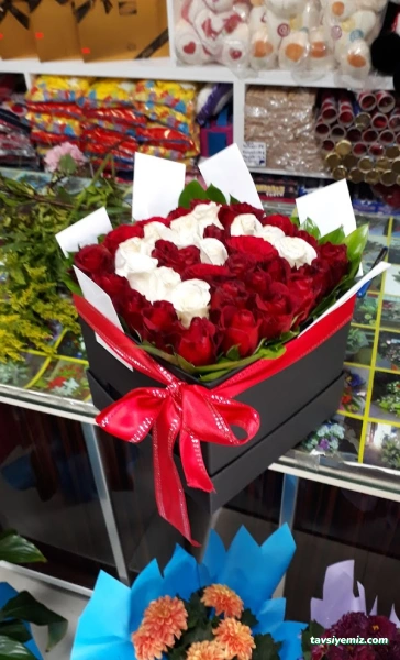 Adıyaman Düğün Organizasyon Sünnet Salonu