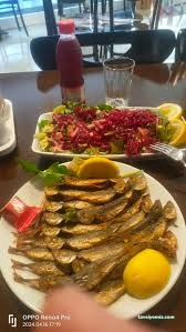 Adıyaman Karadeniz Balıkçılık