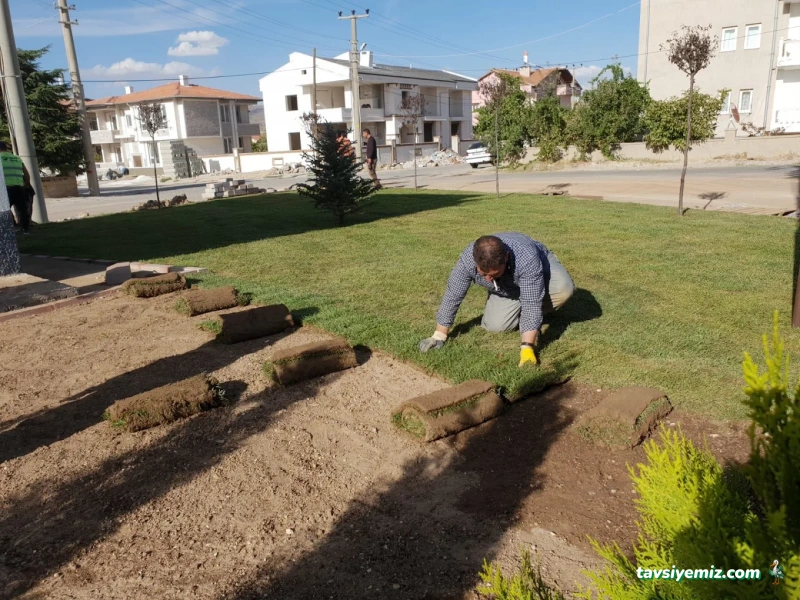 Adr Peyzaj & Ankara Peyzaj