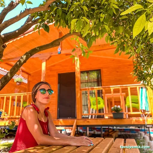 Adrasan Rengarenk Bungalov Evleri | Adrasan Bungalov