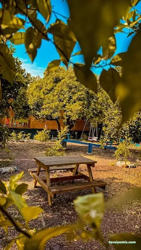 Adrasan Rengarenk Bungalov Evleri | Adrasan Bungalov