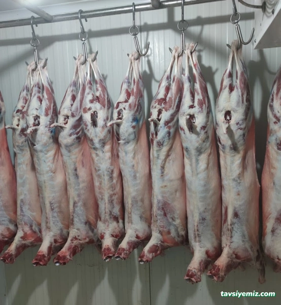 Çamlıtepe Et Dünyası