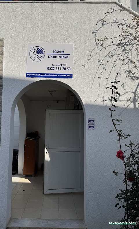 Bodrum Koltuk Yıkama