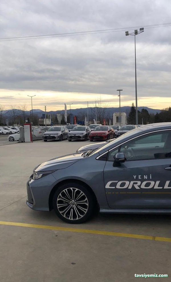 Letstr Sakarya Araç Kiralama & Rent A Car