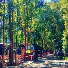 Aftor Alabalık Ve Restaurant