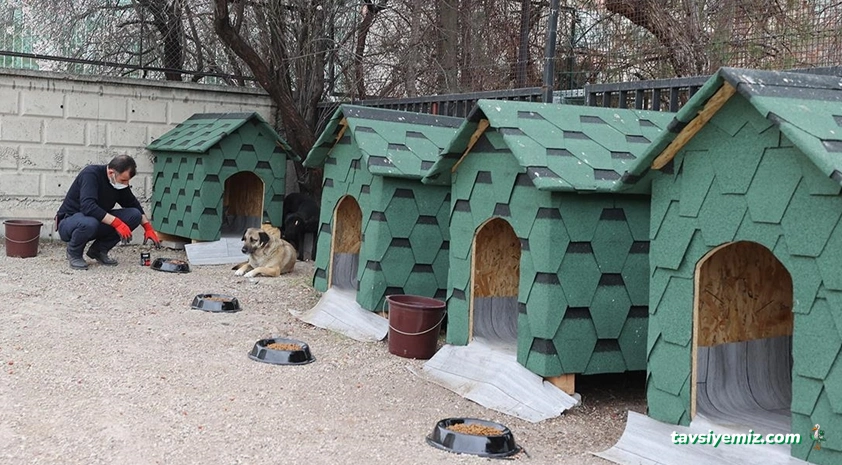 Afyonkarahisar Belediyesi Hayvan Barınağı