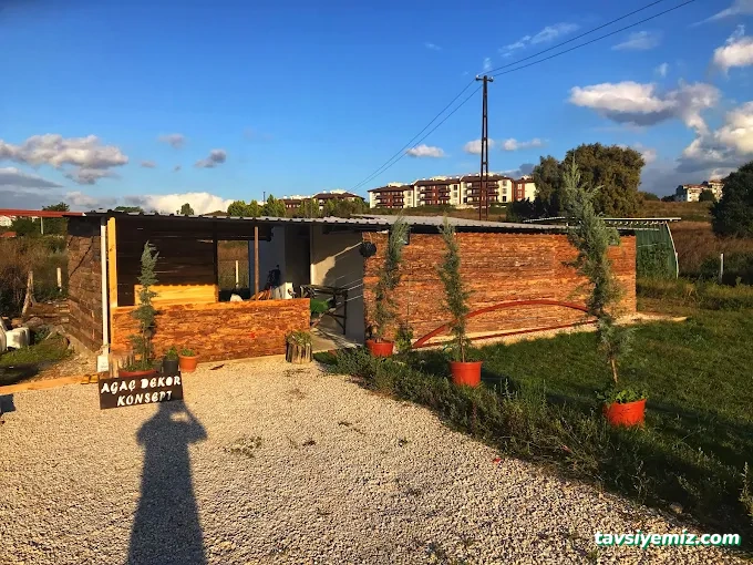 Ağaç Dekor Konsept Atölyesi