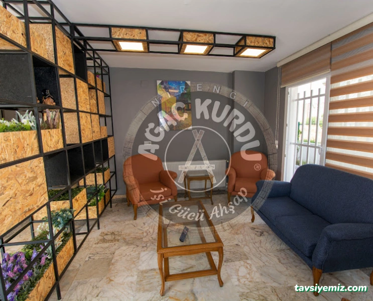 Ağaç Kurdu İşi Gücü Ahşap