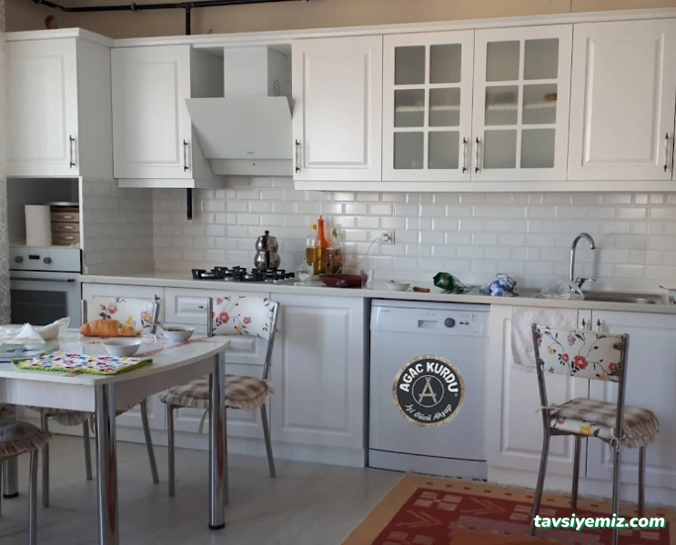 Ağaç Kurdu İşi Gücü Ahşap