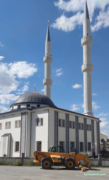 Ağrı Aktaylar Telehandler Forklift Vinç Hizmetleri Ağrı Merkez