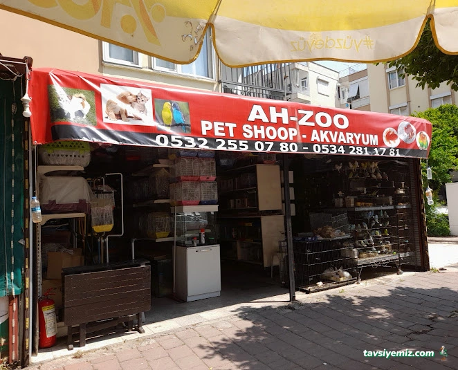 Ah-Zoo Petshop Akvaryum
