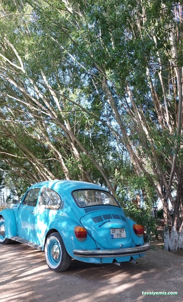 Aile Çay Bahçesi,Piknik Alanı Ve Kamp Alanı