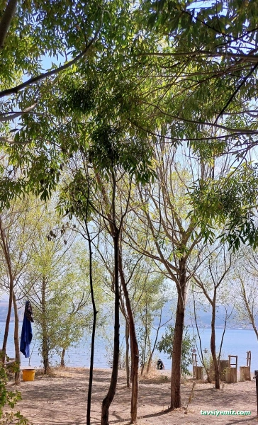 Aile Çay Bahçesi,Piknik Alanı Ve Kamp Alanı