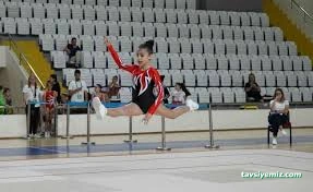 Akademi Cimnastik Çanakkale