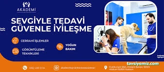 Akademi Hayvan Hastanesi | Atakum Samsun Veteriner