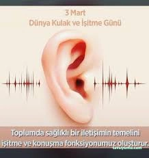 Akbulut Dijital İşitme Cihazları Satış Ve Uygulama Merkezi