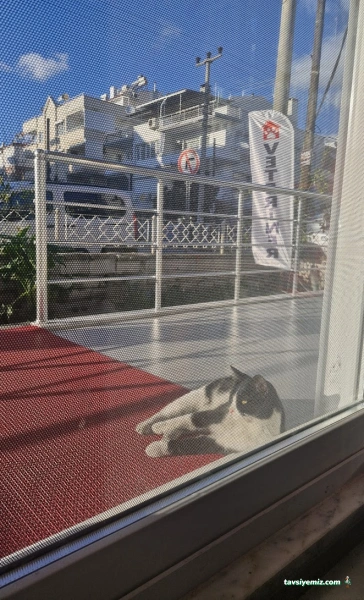 Akçay Veteriner Kliniği