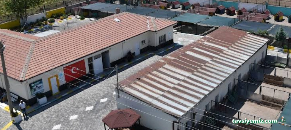 Aksaray Belediyesi Hayvan Barınağı