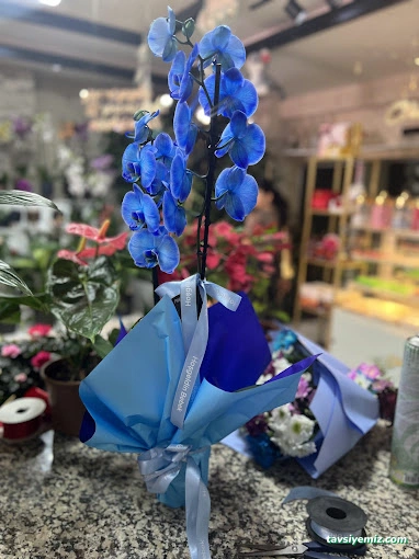 Aksaray Çiçekçi Emrah