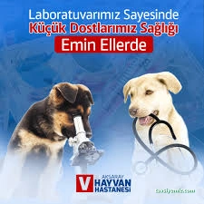 Aksaray Hayvan Hastanesi