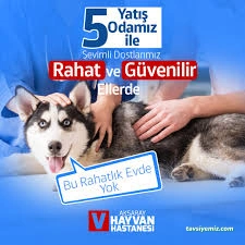 Aksaray Hayvan Hastanesi