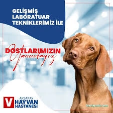 Aksaray Hayvan Hastanesi
