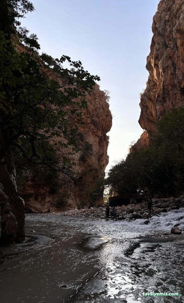 Aktivite Turizm (Ankara Şube)