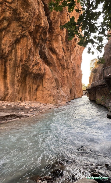 Aktivite Turizm (Ankara Şube)