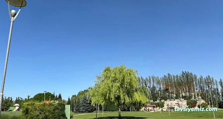 Aktivite Turizm (Ankara Şube)