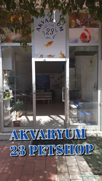 Akvaryum 23