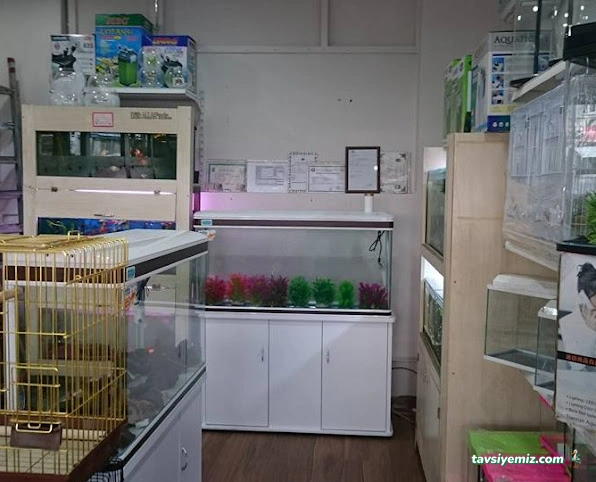 Akvaryuss Pet Shop