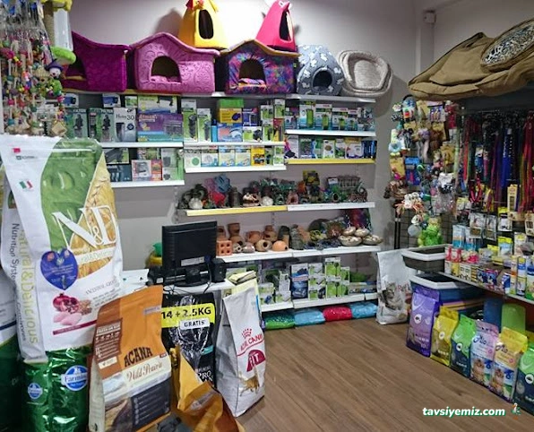 Akvaryuss Pet Shop