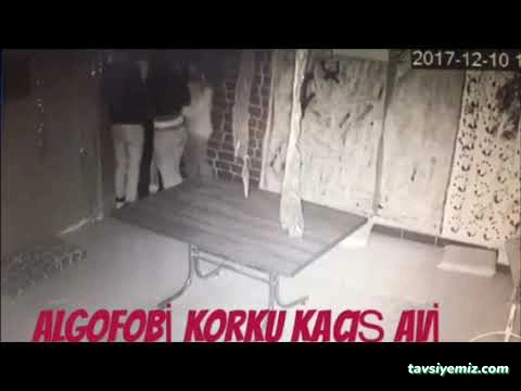 Algofobi Korku Evi