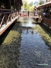 Ali Dayı Alabalık Restaurant