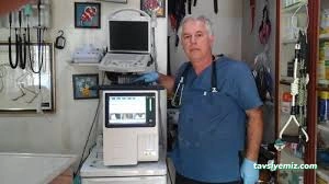 Alın Pet Veteriner Kliniği