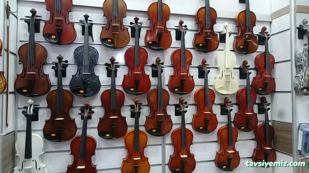 Alpa Müzik Elektronik