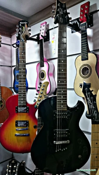 Alpa Müzik Elektronik