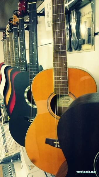 Alpa Müzik Elektronik