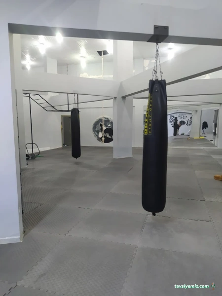 Alpakurt Mma Salonu
