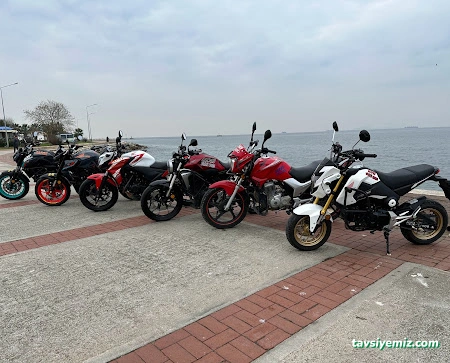 Alpay Sürücü Kursu